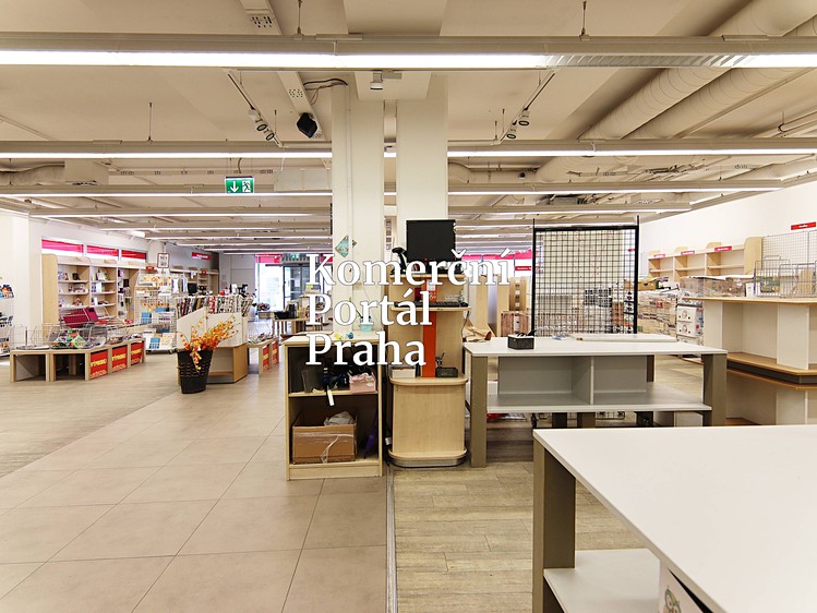 Gewerbefläche zur Miete, 450 m² (4 von 18)