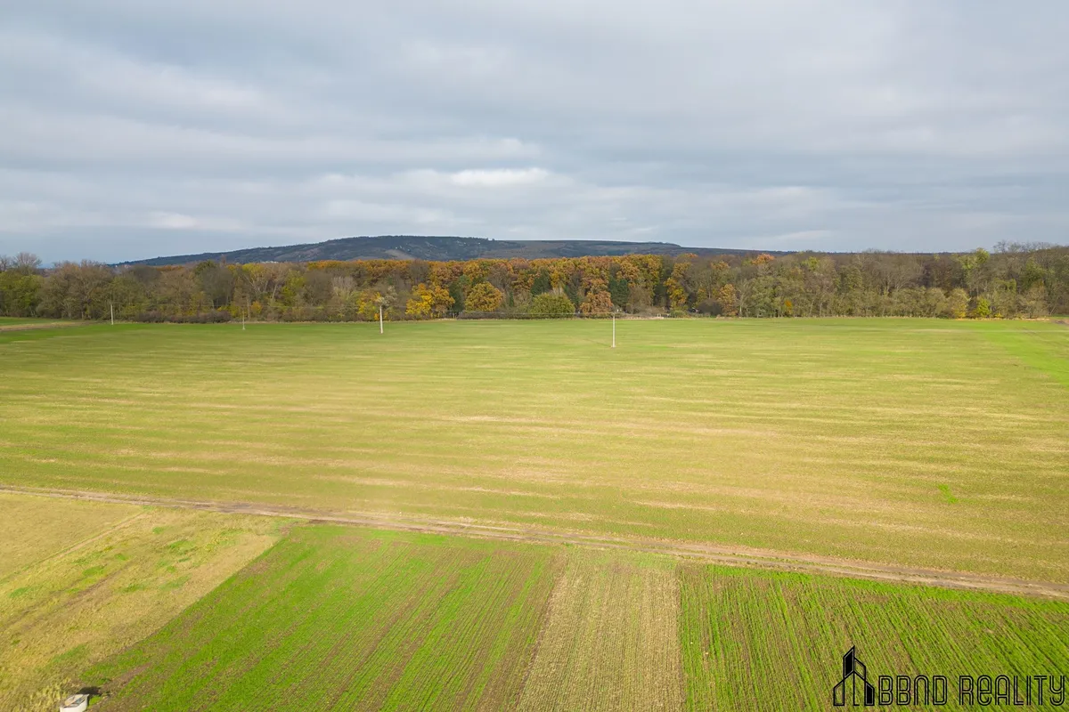 Prodej stavebního pozemku 3803 m² — fotografie 4