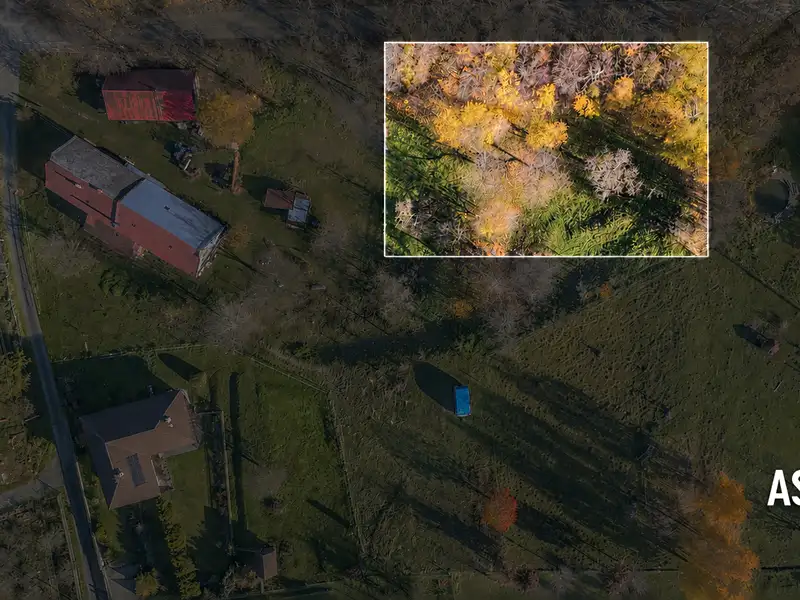 Prodej stavebního pozemku 2148 m², Brantice – náhled fotky 2