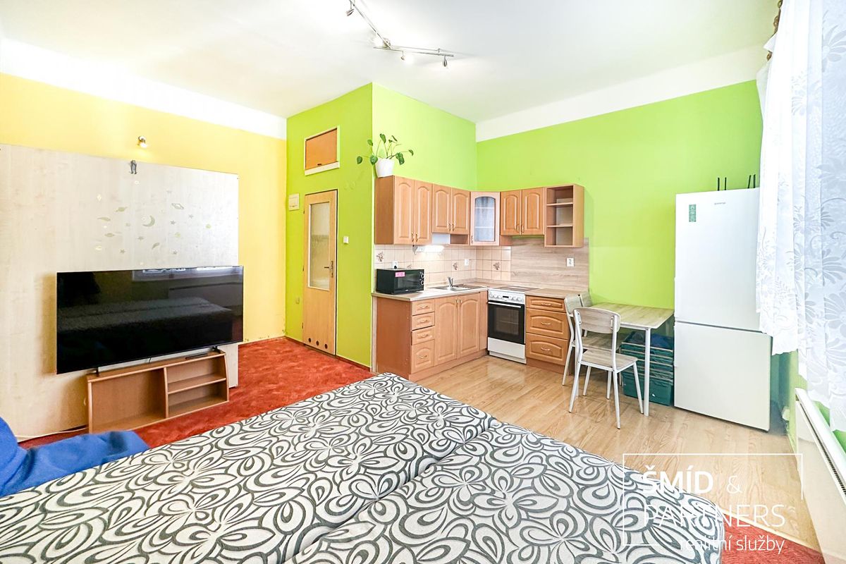 Pronájem bytu 1+kk 26 m² – fotografie 4