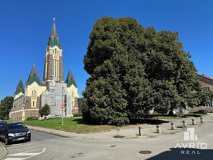Ostatní