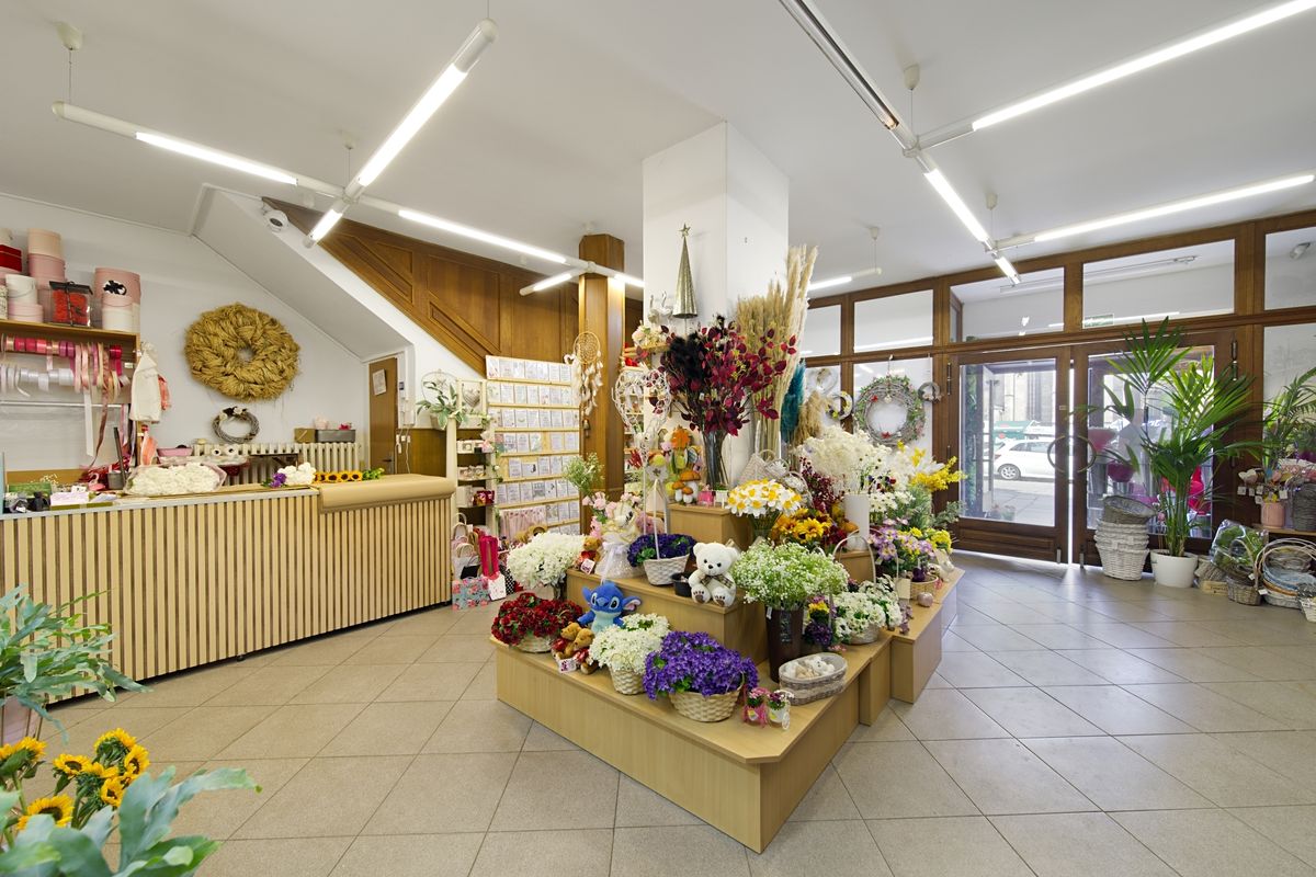 Prodej činžovního domu 606 m² – fotografie 4
