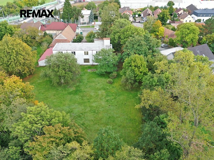Комерційне приміщення в оренду, 186 м² (4 з 26)