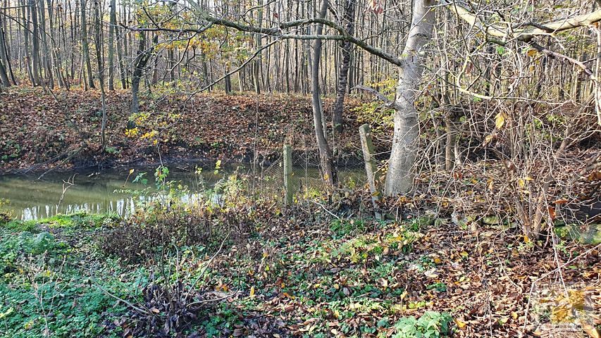 Prodej rodinného domu 100 m², pozemek 808 m² – fotografie 3