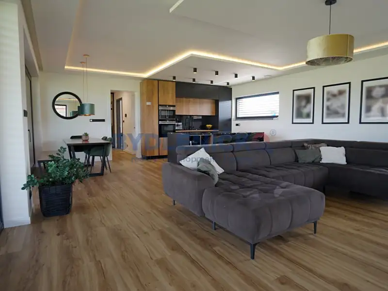 Prodej rodinného domu 219 m², pozemek 955 m², Dynín – náhled fotky 3