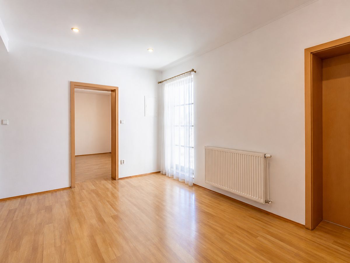 Pronájem rodinného domu 383 m², pozemek 515 m² – fotografie 4