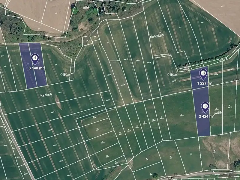 Prodej pole 12944 m², Tojice – náhled fotky 2