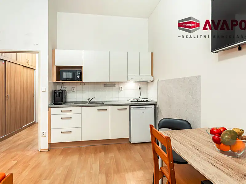 Pronájem bytu 1+kk 25 m², Opava – náhled fotky 3