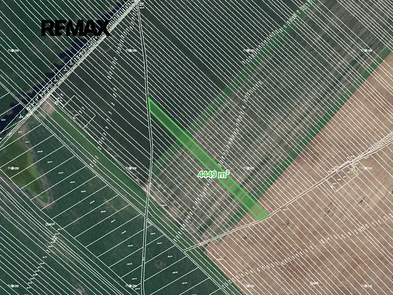 Prodej pole 4449 m², Josefov – náhled fotky 3