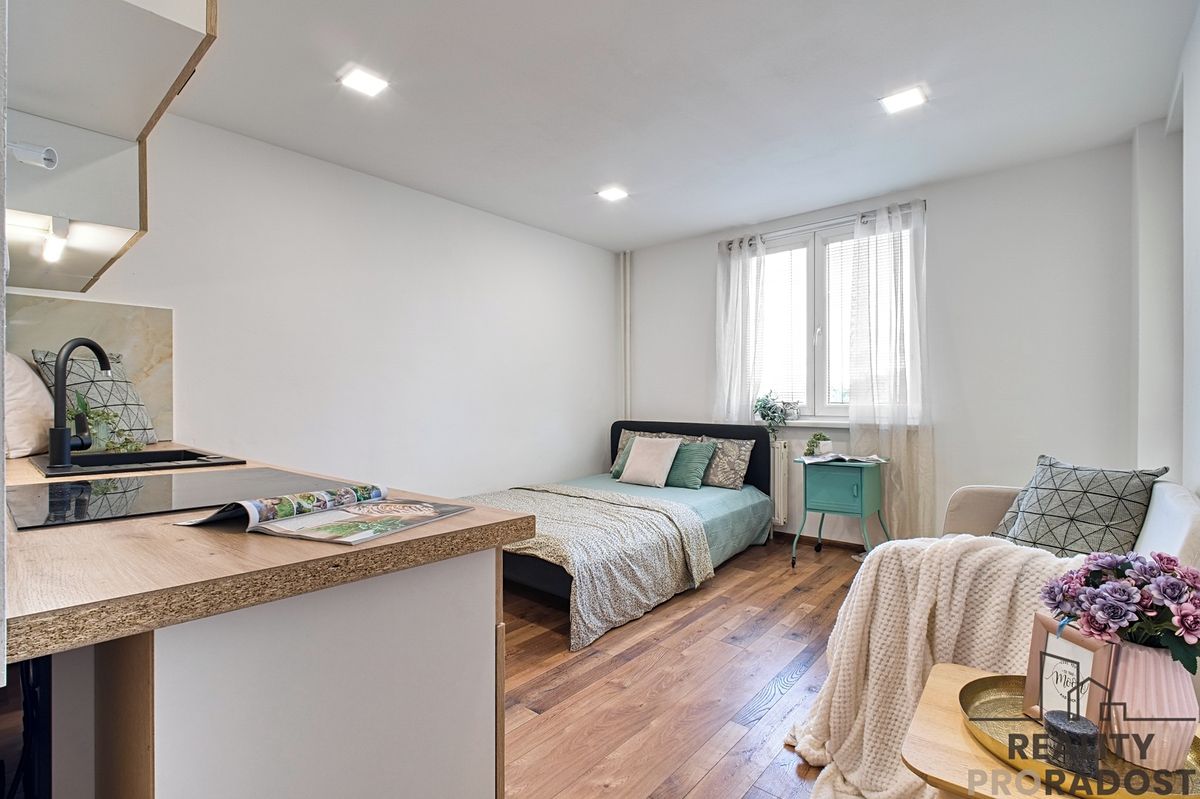 Pronájem bytu 1+kk 20 m² – fotografie 4