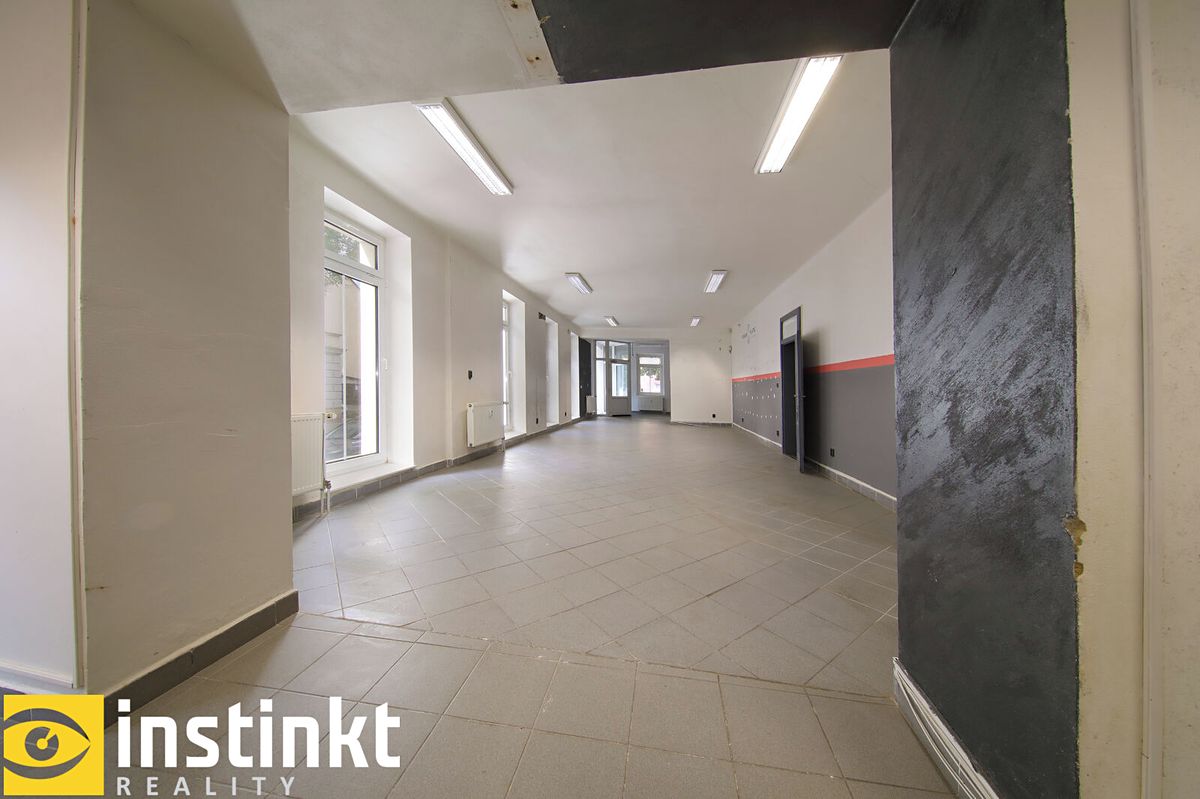 Pronájem obchodního prostoru 175 m² – fotografie 5