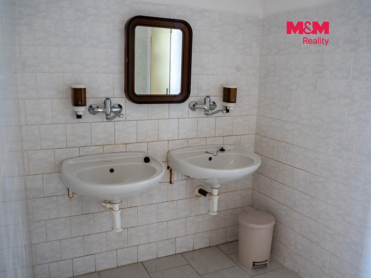 Комерційне приміщення в оренду, 348 м² (13 з 25)