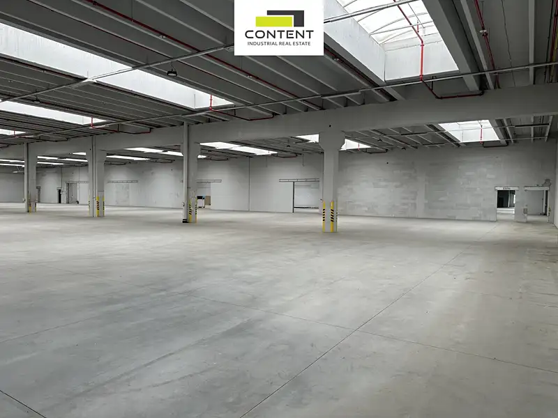 Pronájem skladového prostoru 11000 m², Říčany – náhled fotky 3