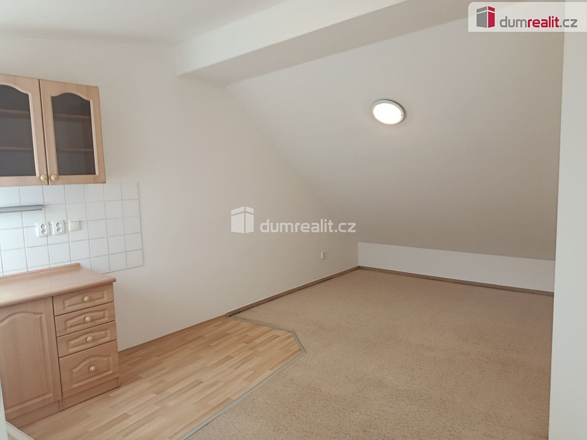 Pronájem bytu 1+kk 20 m² – fotografie 5