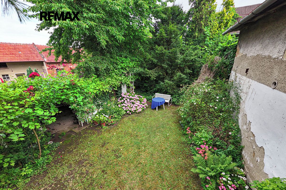 Prodej rodinného domu 220 m², pozemek 993 m² – fotografie 3