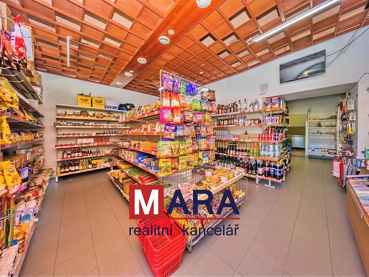 Prodej rodinného domu 739 m², pozemek 1095 m² – fotografie 5