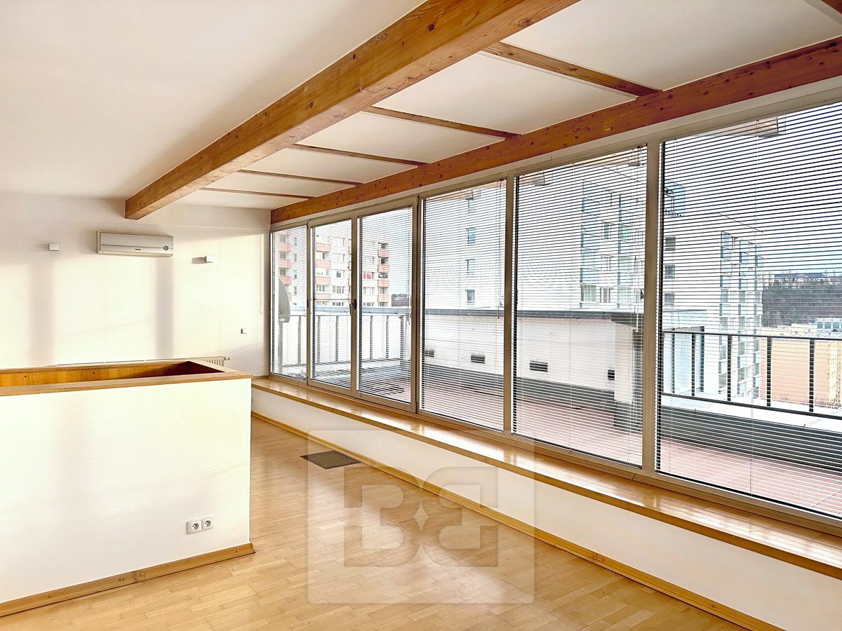 Pronájem bytu 4+kk 153 m²