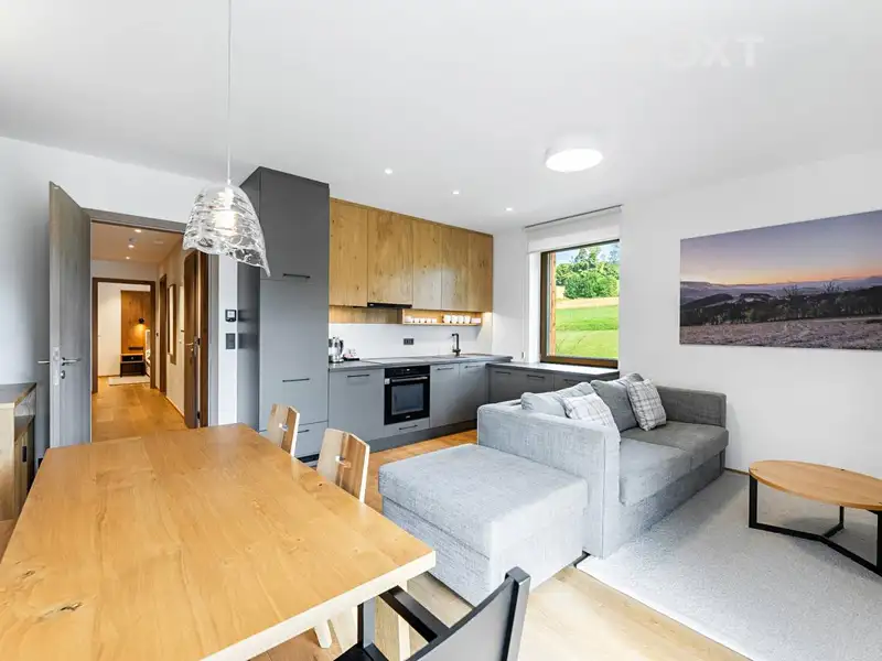 Prodej bytu 3+kk 68 m², Vítkovice – náhled fotky 3