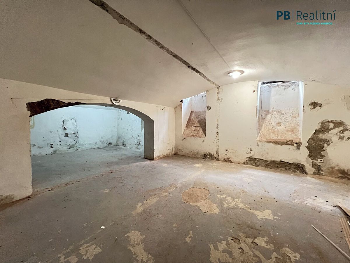 Prodej komerční nemovitosti 235 m² – fotografie 5