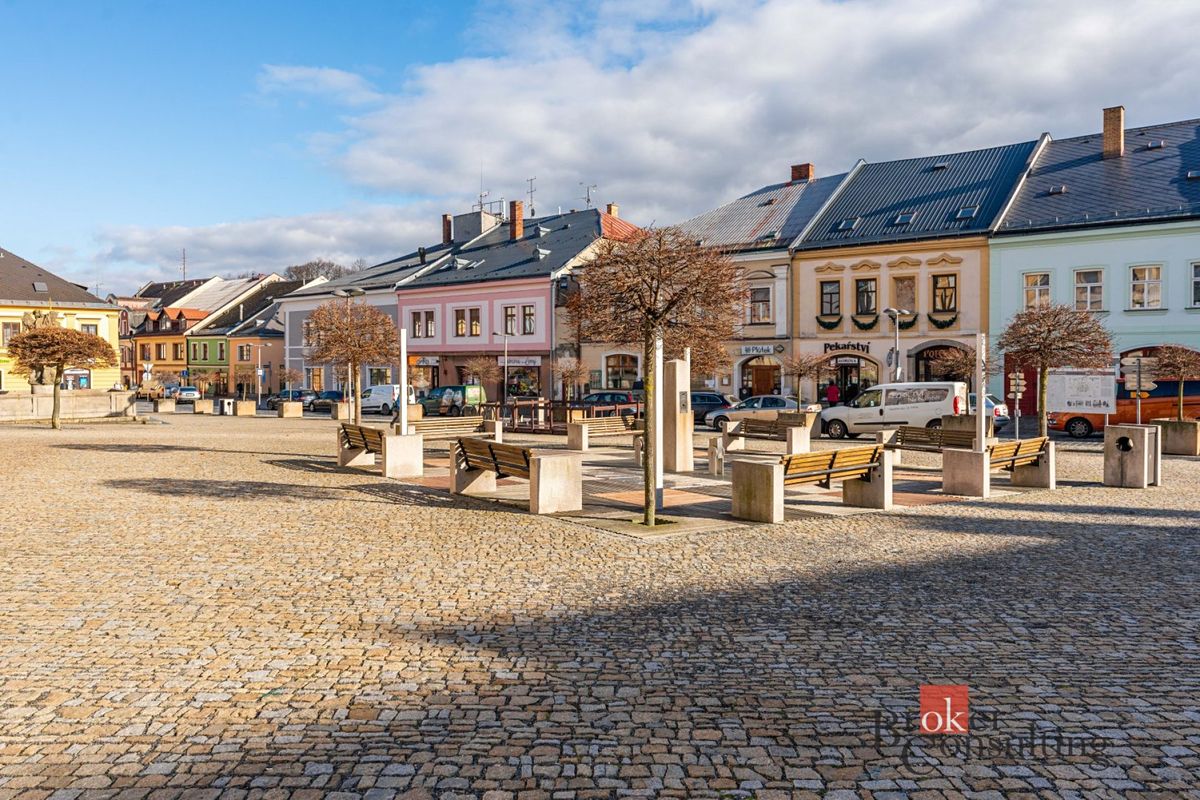 Prodej památky 700 m², pozemek 265 m² – fotografie 2