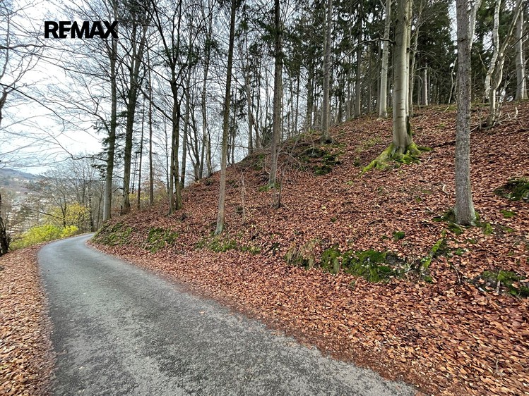 Grundstück zum Kauf, 5.535 m² (15 von 19)
