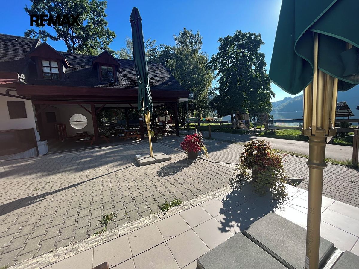 Pronájem louky 10000 m² – fotografie 4
