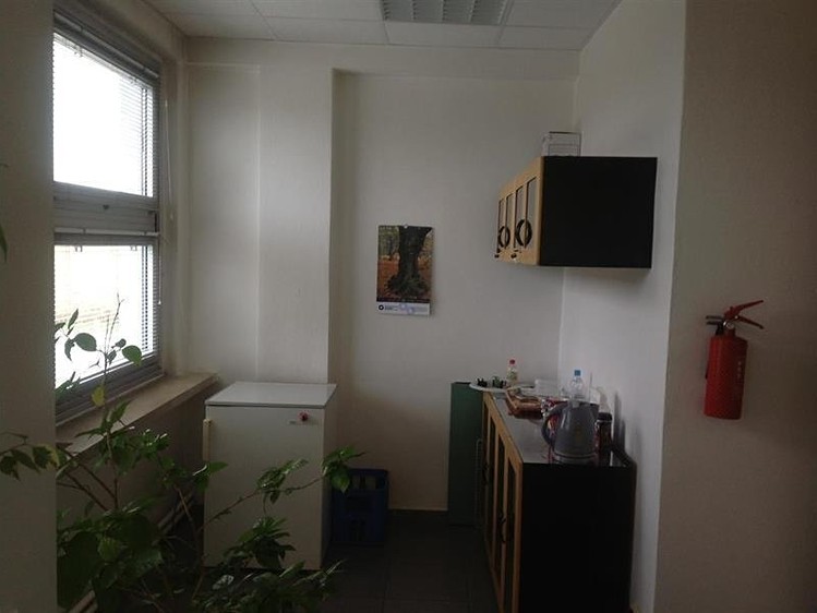Gewerbefläche zur Miete, 204 m² (5 von 19)
