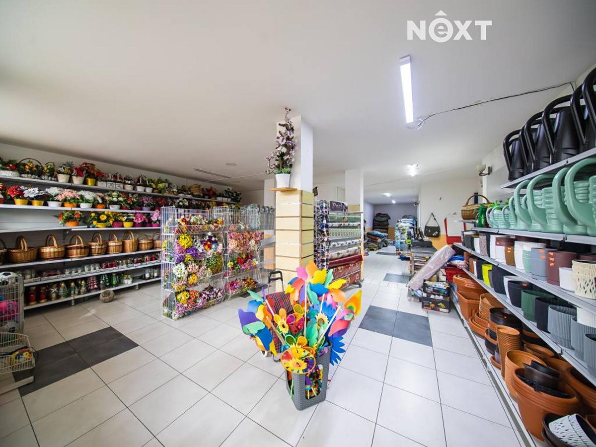 Prodej obchodního prostoru 550 m² – fotografie 3