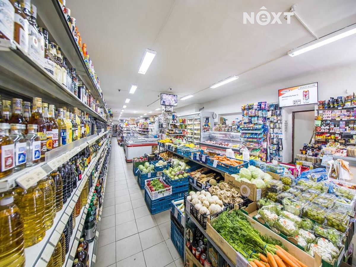 Prodej obchodního prostoru 550 m² – fotografie 4