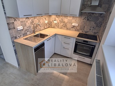 Pronájem bytu 1+1 40 m²