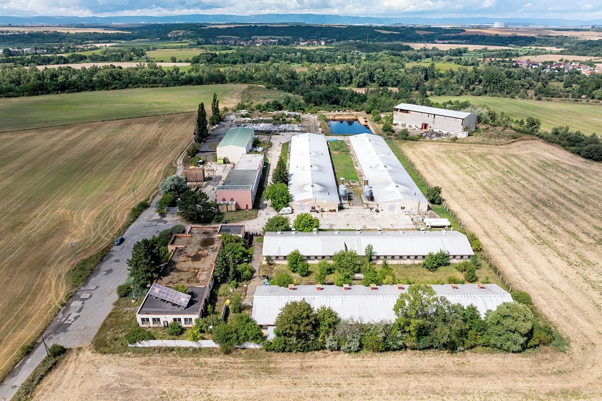 Prodej komerční nemovitosti 3347 m² – fotografie 3