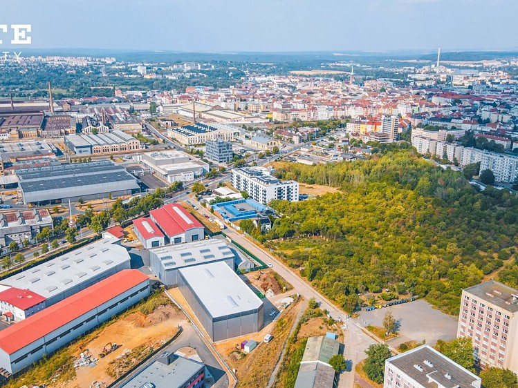 Gewerbefläche zur Miete, 804 m² (7 von 36)
