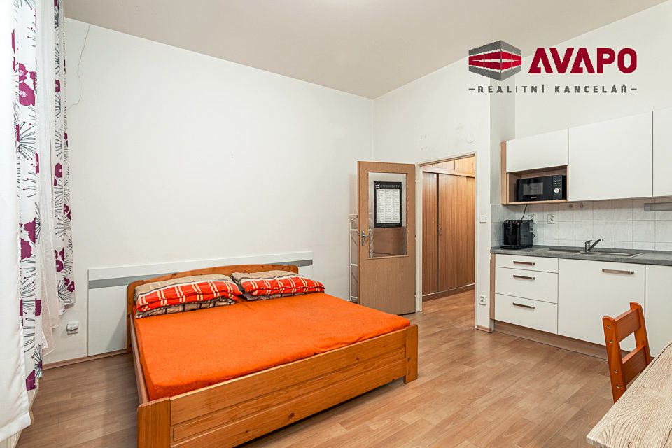 Pronájem bytu 1+kk 25 m² – fotografie 4