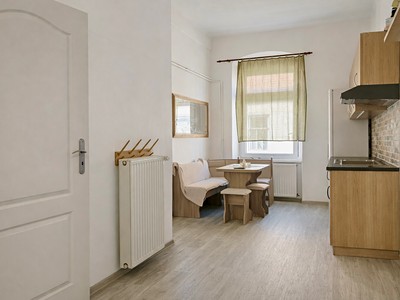 Prodej bytu 1+1, 50 m² (2 z 13)