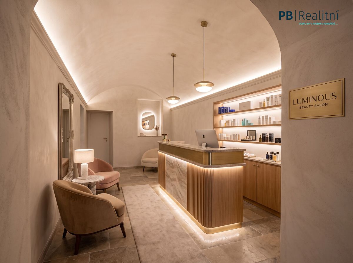 Prodej komerční nemovitosti 235 m² – fotografie 4