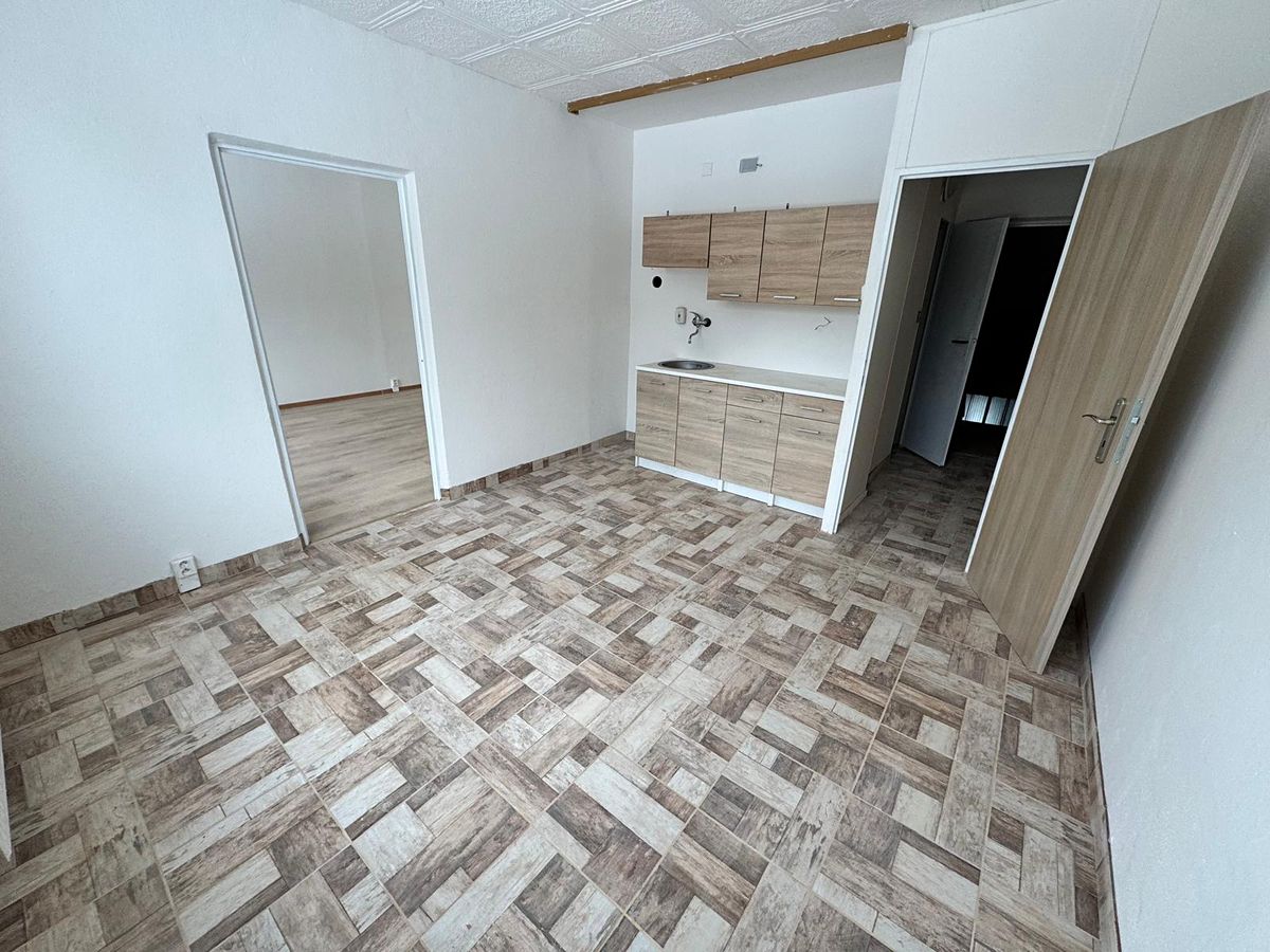 Pronájem bytu 1+1 39 m²