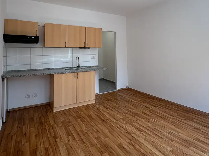 Prodej bytu 1+kk 20 m², Plzeň – náhled fotky 2