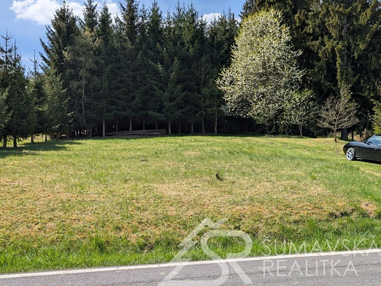 Prodej pozemku, 8 878 m² (7 z 18)