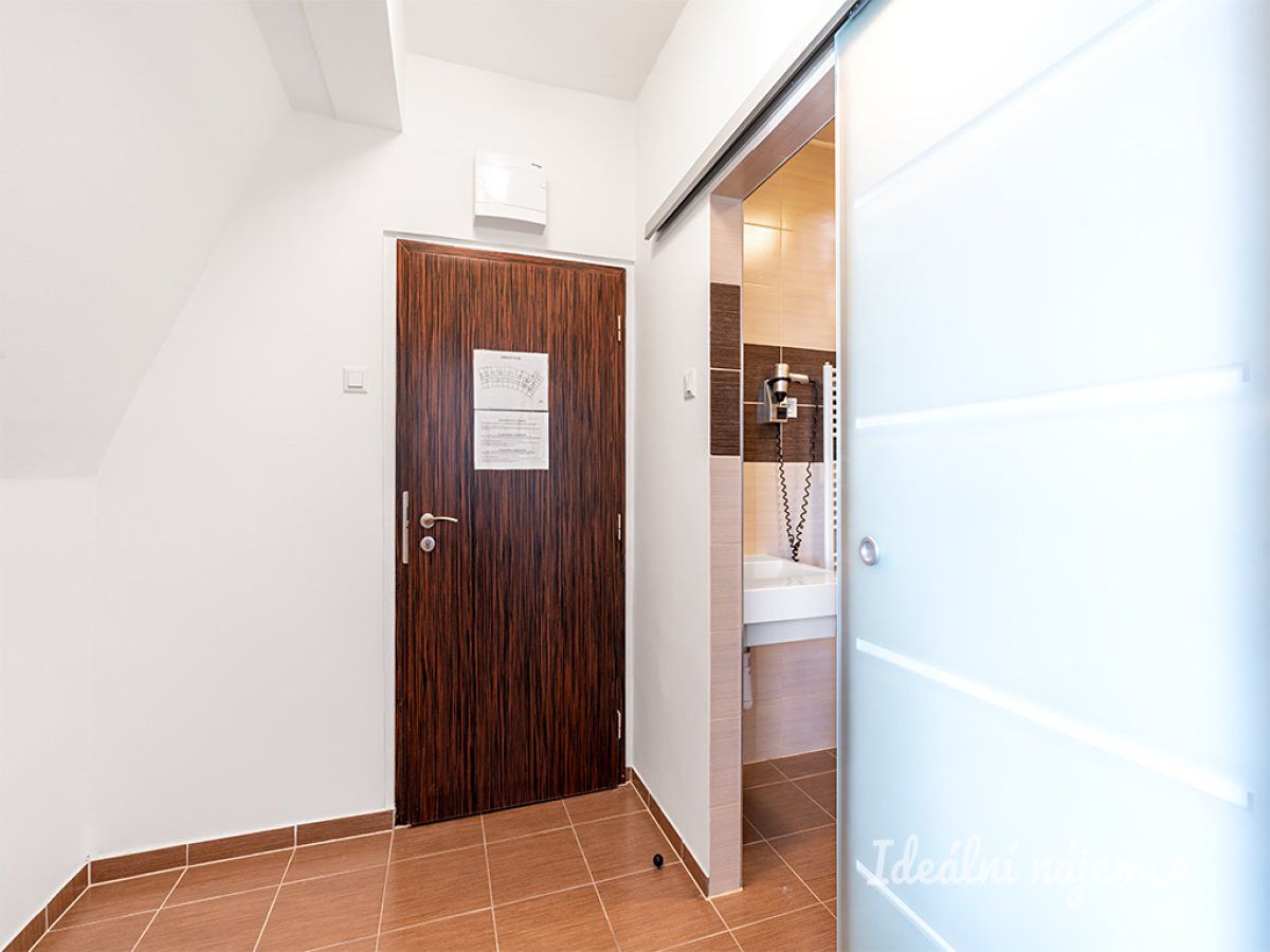 Pronájem bytu 1+kk 18 m² – fotografie 3
