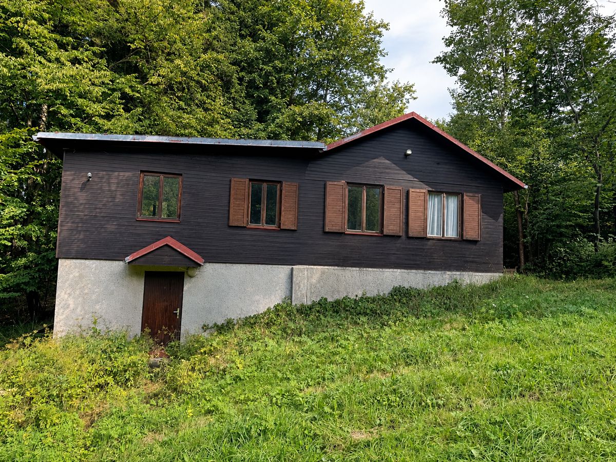 Prodej chaty 78 m², pozemek 4016 m² – fotografie 2