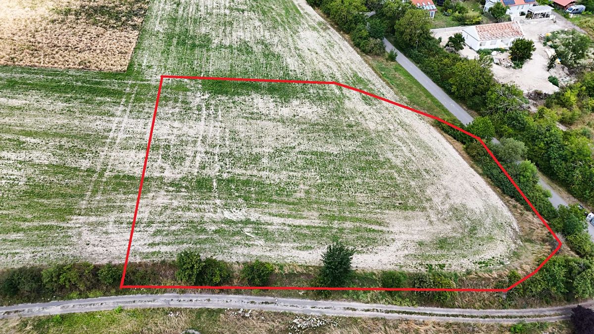 Prodej stavebního pozemku 4773 m² – fotografie 3