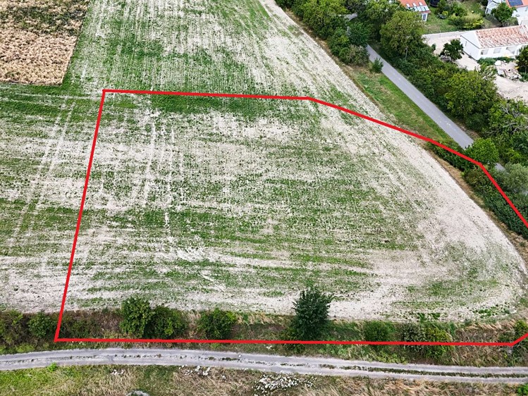 Ділянка на продаж, 4 773 м² (3 з 6)