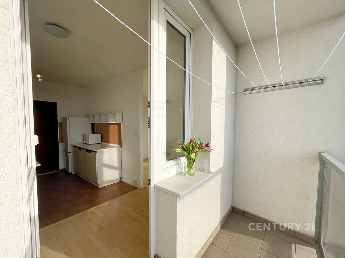 Pronájem bytu 1+1 41 m² – fotografie 4