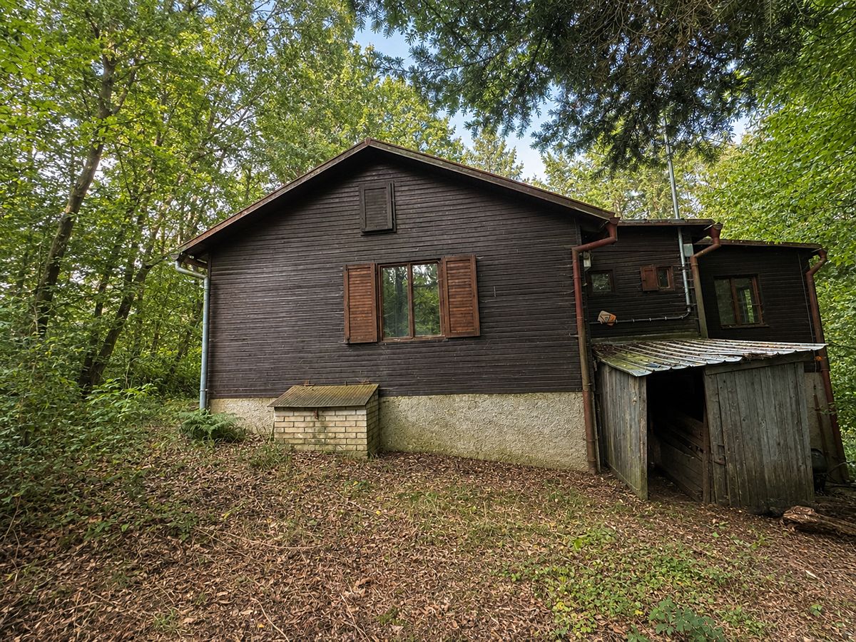 Prodej chaty 78 m², pozemek 4016 m² – fotografie 4