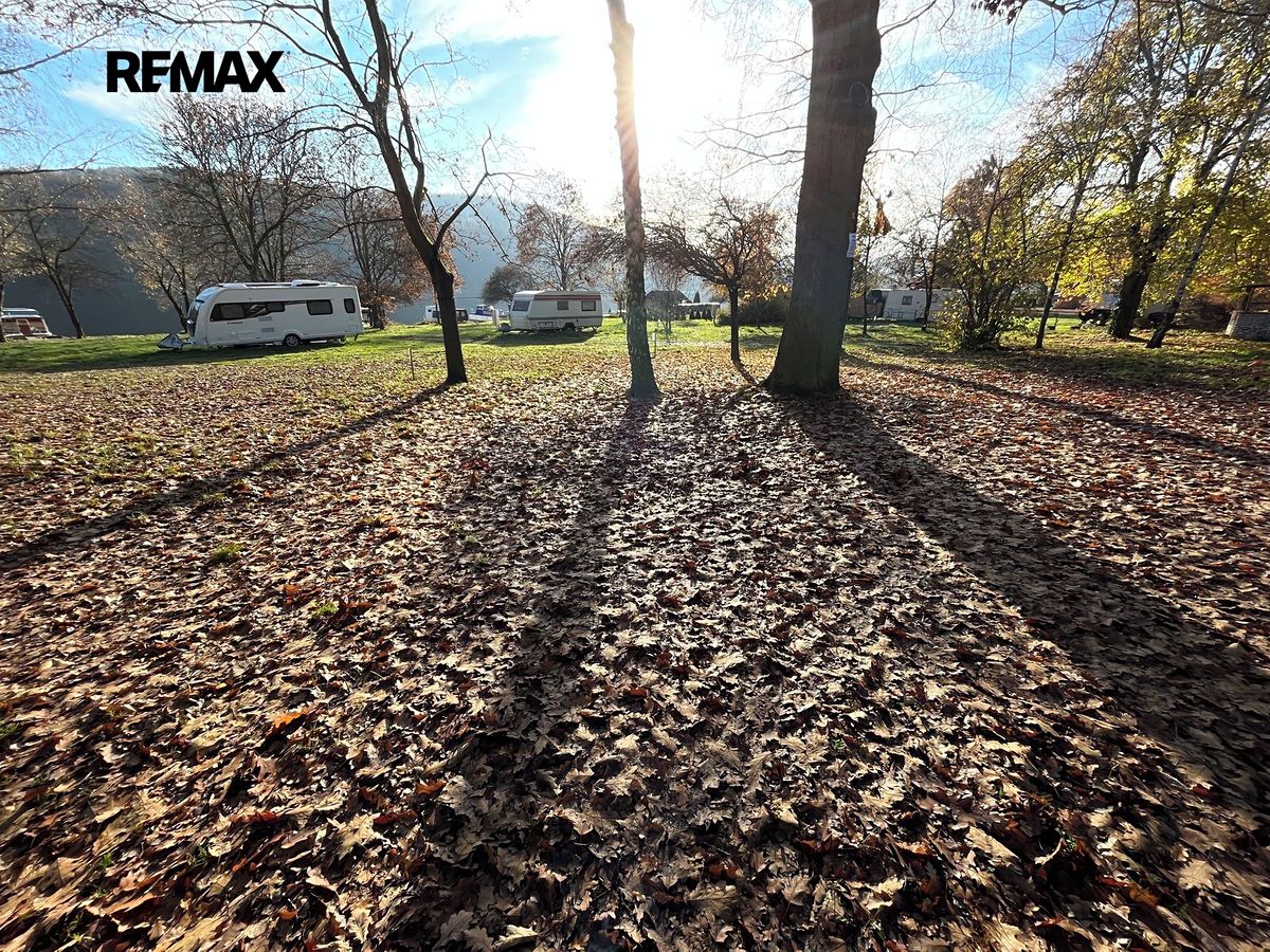Pronájem louky 10000 m² – fotografie 5