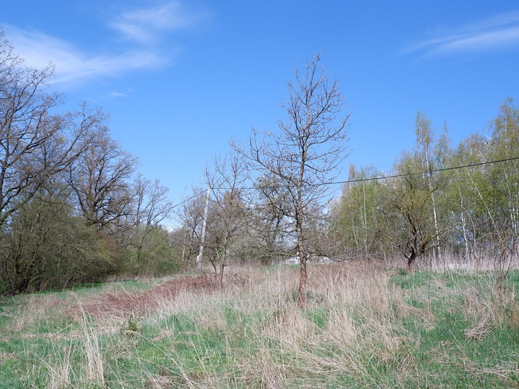 Haus zum Kauf, 150 m² (9 von 16)