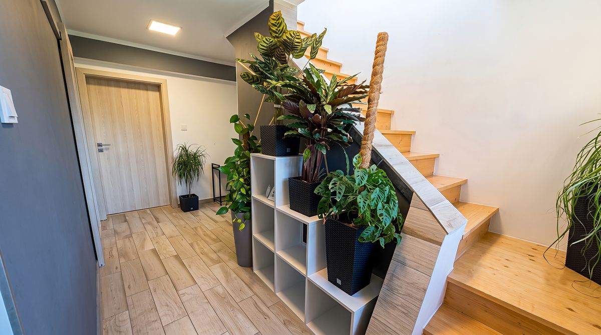 Prodej rodinného domu 150 m², pozemek 536 m² – fotografie 5