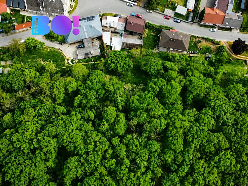 Prodej zahrady 2495 m², Veselíčko – náhled fotky 2