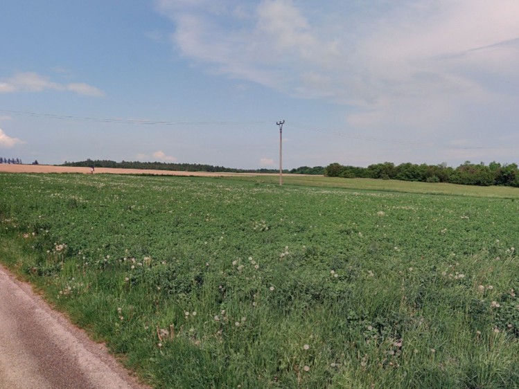 Grundstück zum Kauf, 6.061 m² (4 von 4)