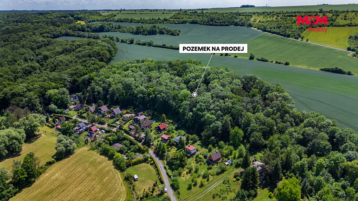 Prodej lesa 49399 m²